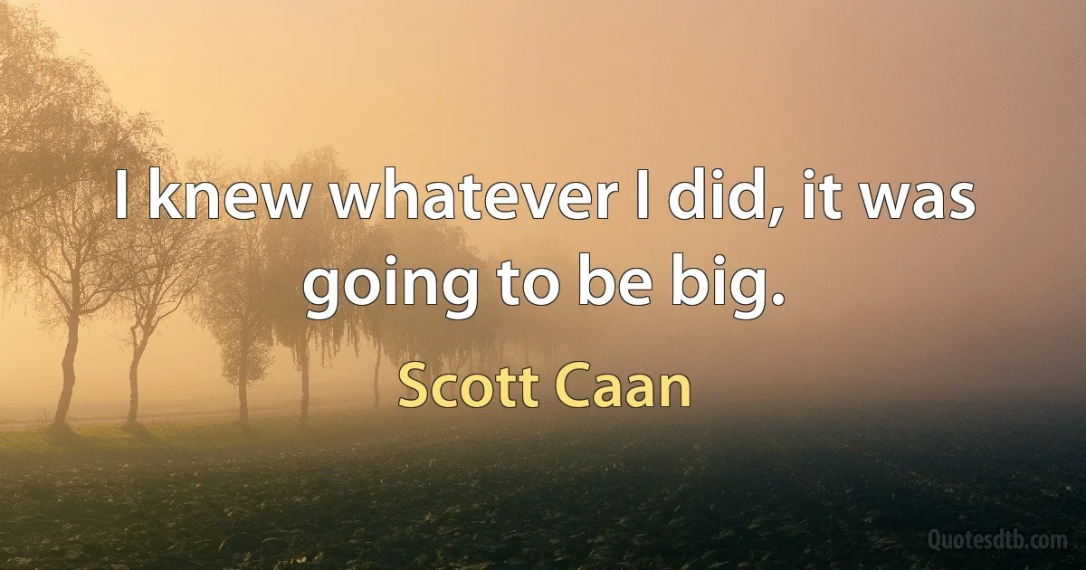 I knew whatever I did, it was going to be big. (Scott Caan)