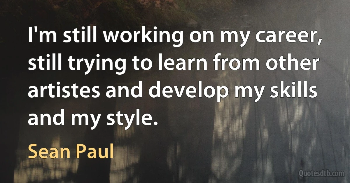 I'm still working on my career, still trying to learn from other artistes and develop my skills and my style. (Sean Paul)