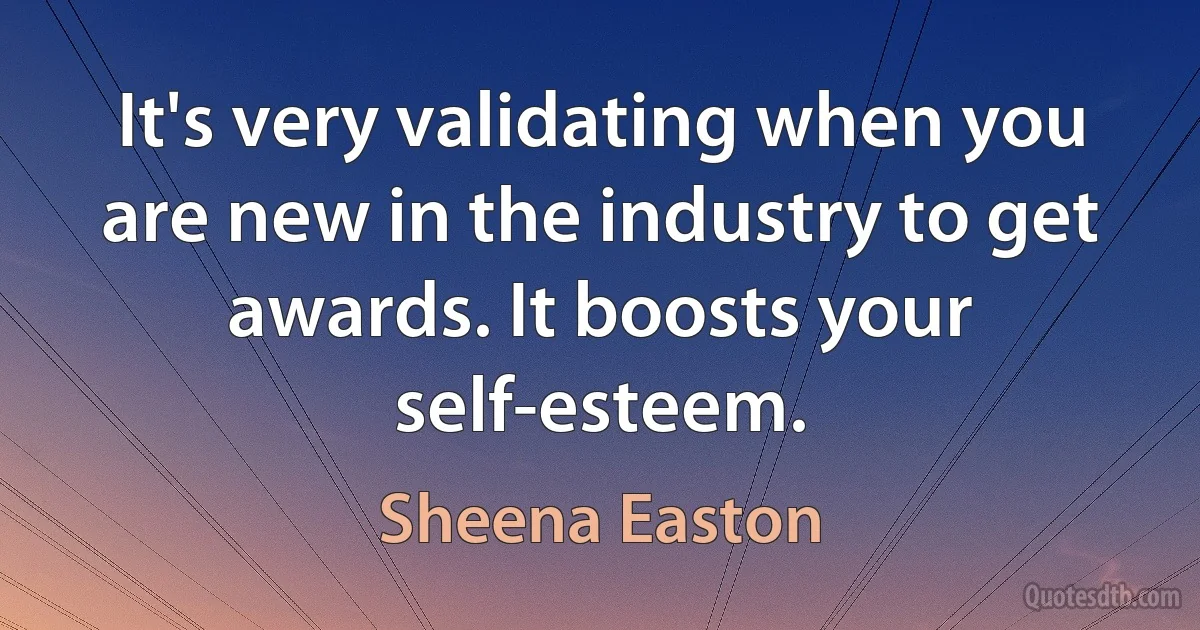 It's very validating when you are new in the industry to get awards. It boosts your self-esteem. (Sheena Easton)