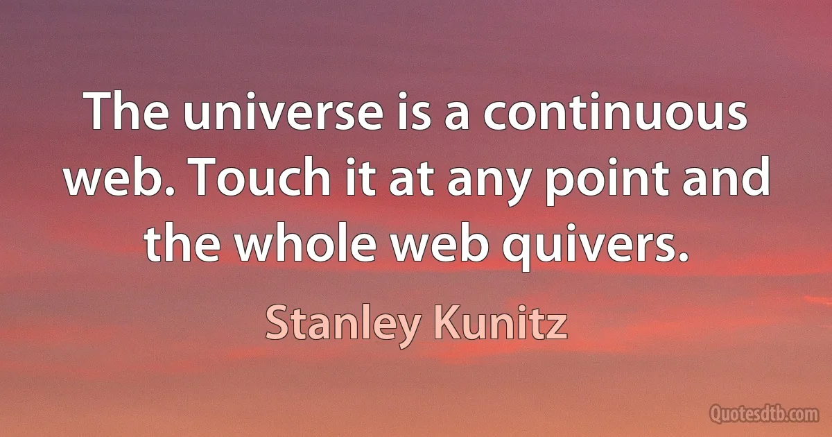 The universe is a continuous web. Touch it at any point and the whole web quivers. (Stanley Kunitz)