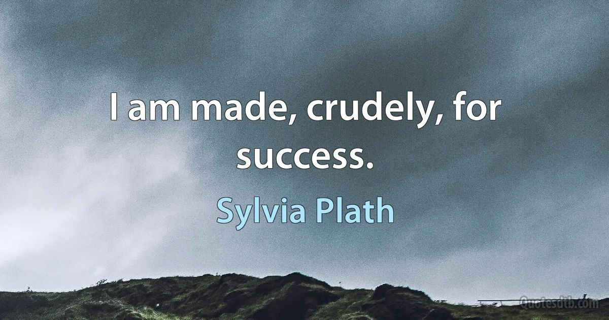 I am made, crudely, for success. (Sylvia Plath)