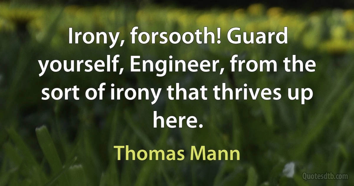 Irony, forsooth! Guard yourself, Engineer, from the sort of irony that thrives up here. (Thomas Mann)