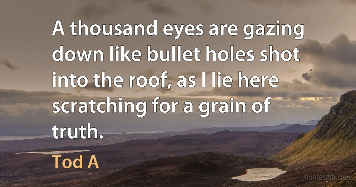 A thousand eyes are gazing down like bullet holes shot into the roof, as I lie here scratching for a grain of truth. (Tod A)