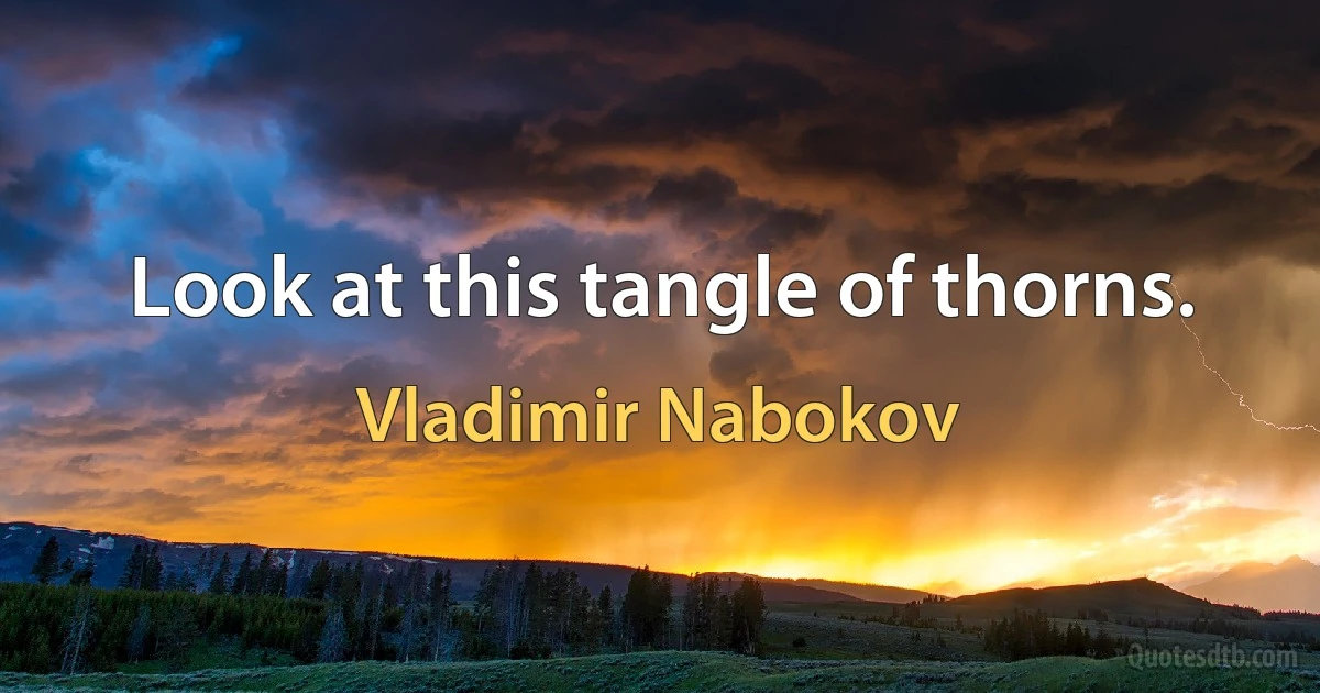 Look at this tangle of thorns. (Vladimir Nabokov)