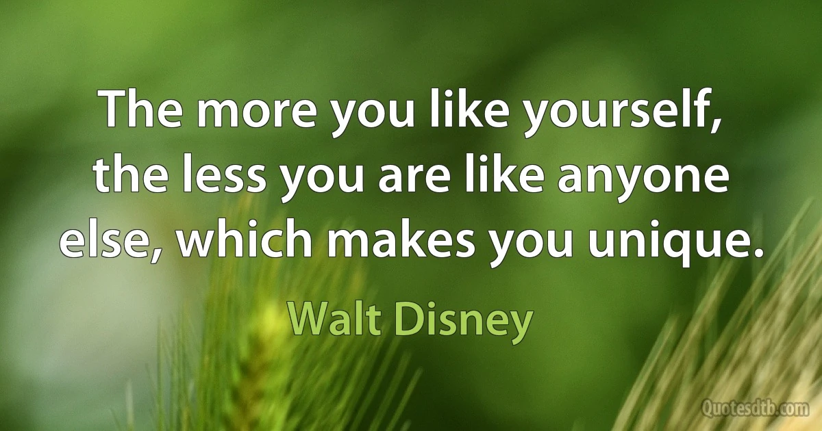 The more you like yourself, the less you are like anyone else, which makes you unique. (Walt Disney)