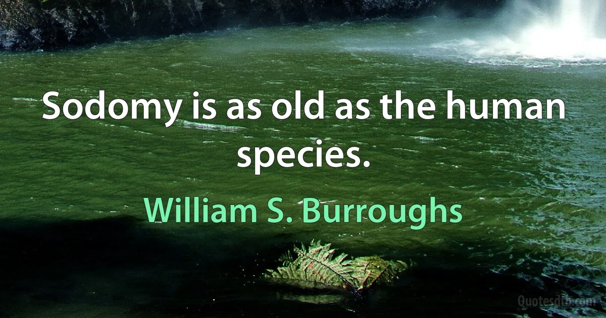 Sodomy is as old as the human species. (William S. Burroughs)