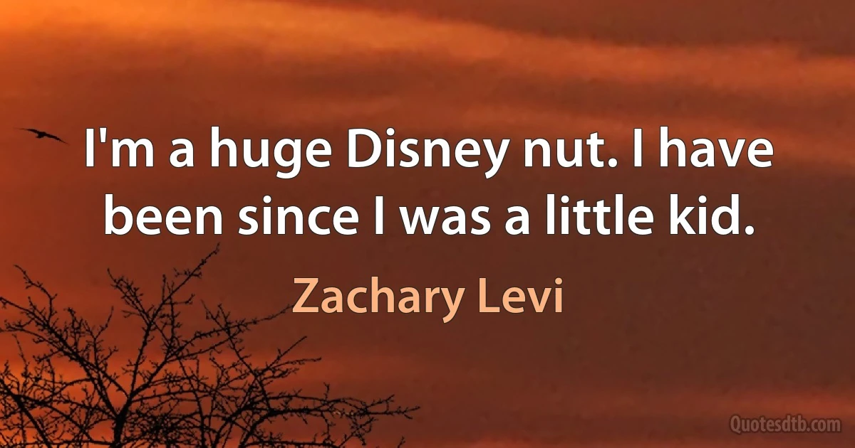 I'm a huge Disney nut. I have been since I was a little kid. (Zachary Levi)