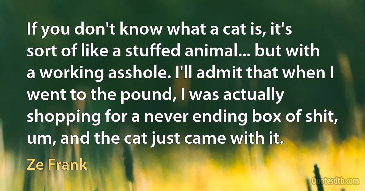 If you don't know what a cat is, it's sort of like a stuffed animal... but with a working asshole. I'll admit that when I went to the pound, I was actually shopping for a never ending box of shit, um, and the cat just came with it. (Ze Frank)