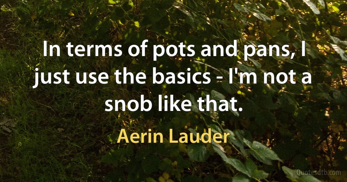 In terms of pots and pans, I just use the basics - I'm not a snob like that. (Aerin Lauder)