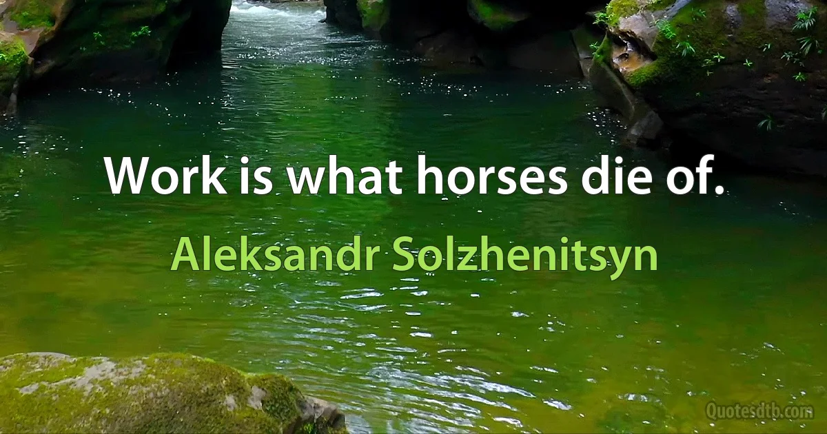 Work is what horses die of. (Aleksandr Solzhenitsyn)