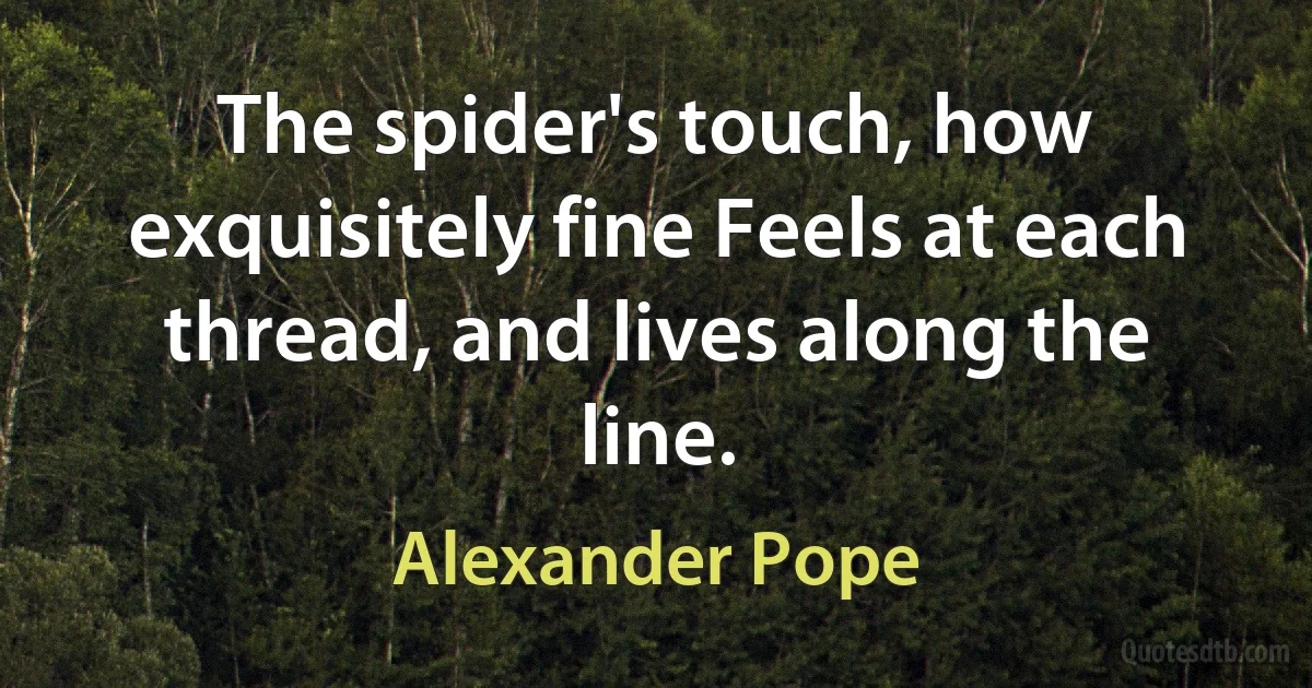 The spider's touch, how exquisitely fine Feels at each thread, and lives along the line. (Alexander Pope)