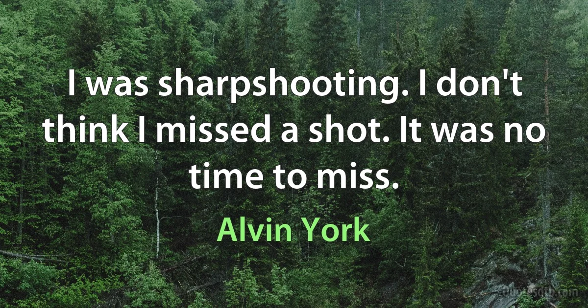 I was sharpshooting. I don't think I missed a shot. It was no time to miss. (Alvin York)