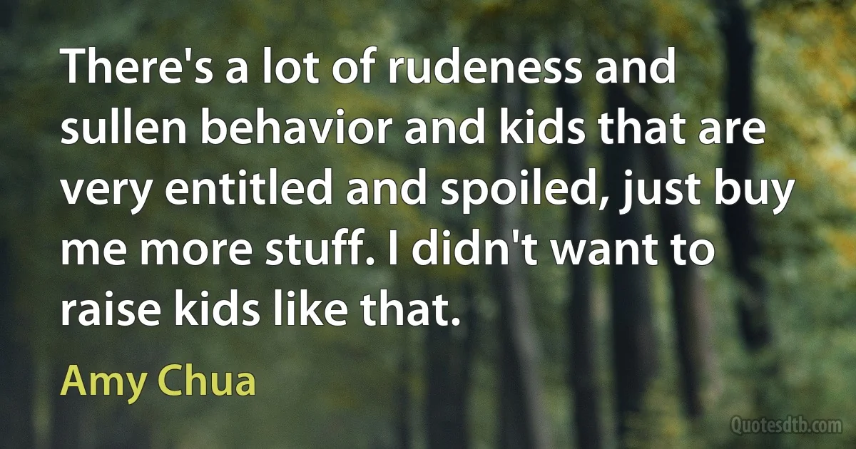 There's a lot of rudeness and sullen behavior and kids that are very entitled and spoiled, just buy me more stuff. I didn't want to raise kids like that. (Amy Chua)