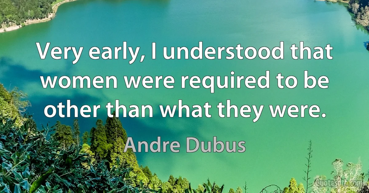 Very early, I understood that women were required to be other than what they were. (Andre Dubus)