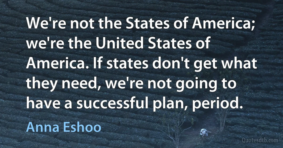 We're not the States of America; we're the United States of America. If states don't get what they need, we're not going to have a successful plan, period. (Anna Eshoo)