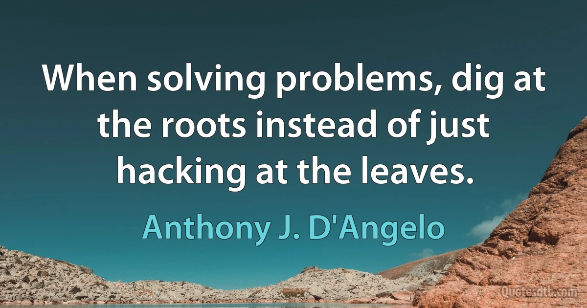 When solving problems, dig at the roots instead of just hacking at the leaves. (Anthony J. D'Angelo)