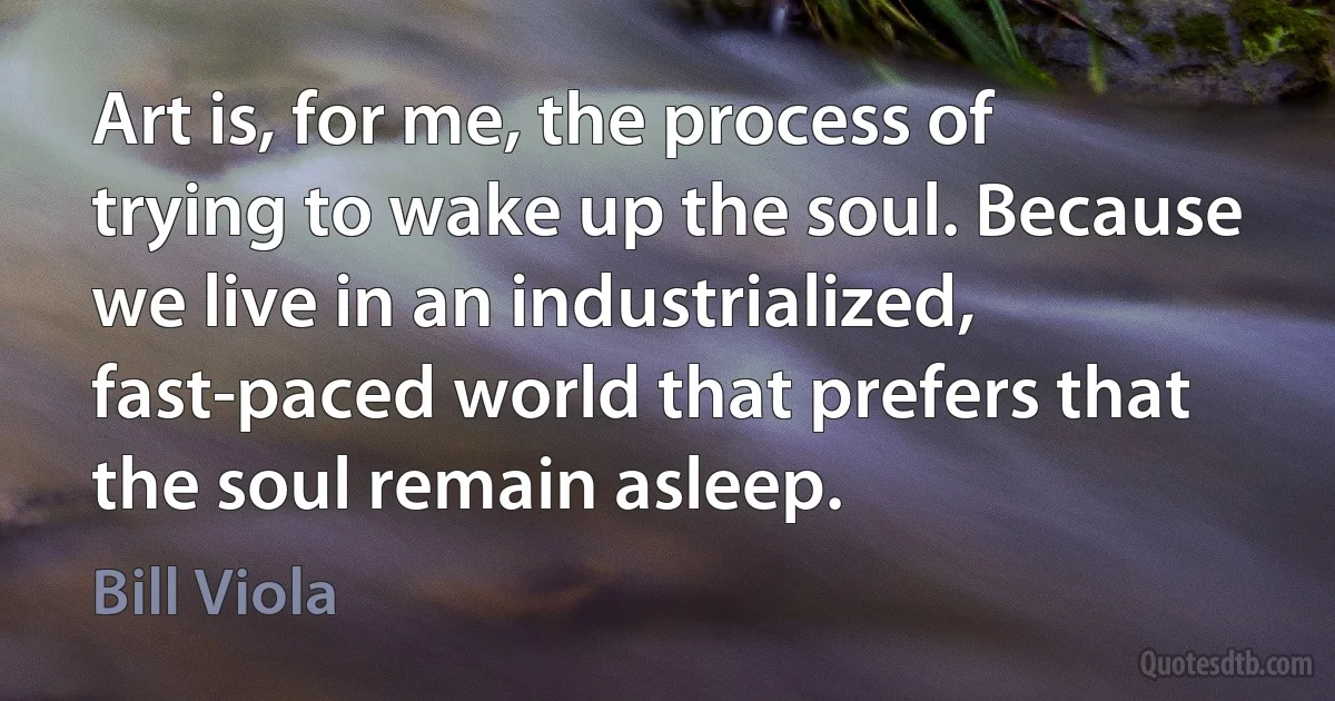 Art is, for me, the process of trying to wake up the soul. Because we live in an industrialized, fast-paced world that prefers that the soul remain asleep. (Bill Viola)