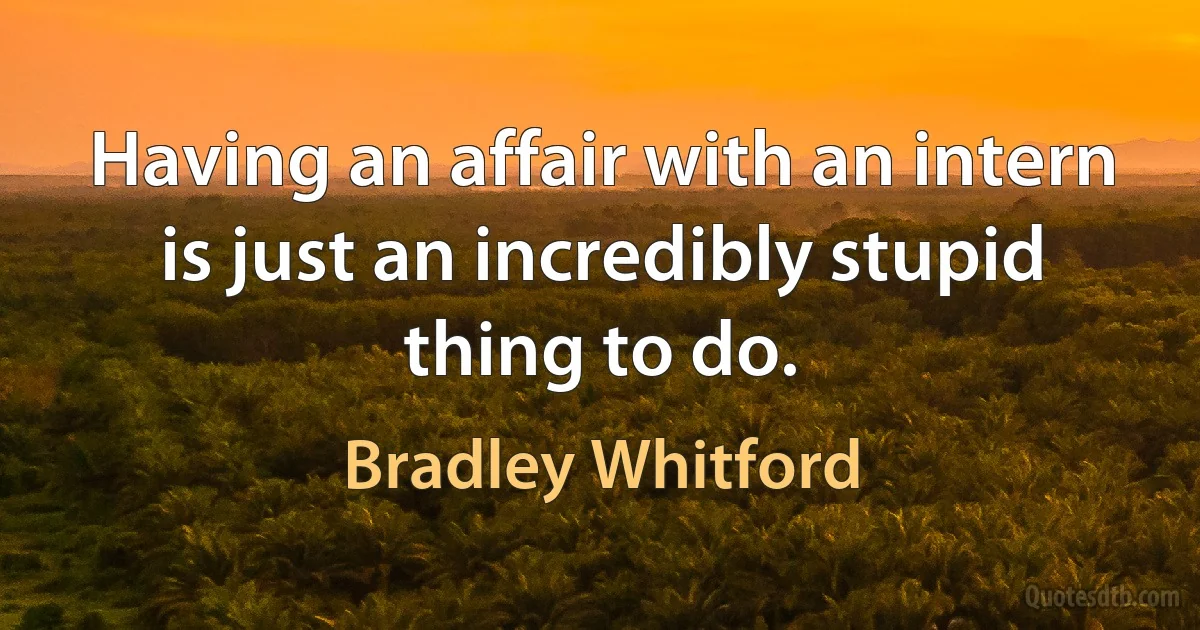 Having an affair with an intern is just an incredibly stupid thing to do. (Bradley Whitford)