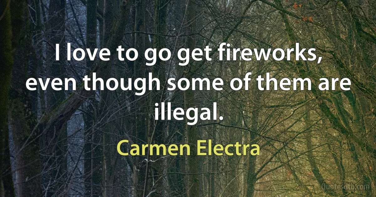 I love to go get fireworks, even though some of them are illegal. (Carmen Electra)