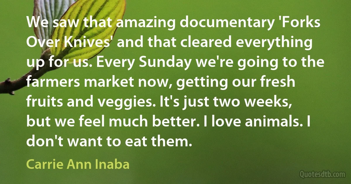 We saw that amazing documentary 'Forks Over Knives' and that cleared everything up for us. Every Sunday we're going to the farmers market now, getting our fresh fruits and veggies. It's just two weeks, but we feel much better. I love animals. I don't want to eat them. (Carrie Ann Inaba)