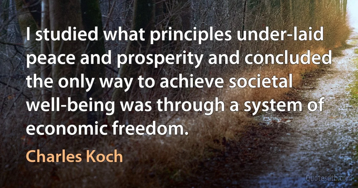 I studied what principles under-laid peace and prosperity and concluded the only way to achieve societal well-being was through a system of economic freedom. (Charles Koch)