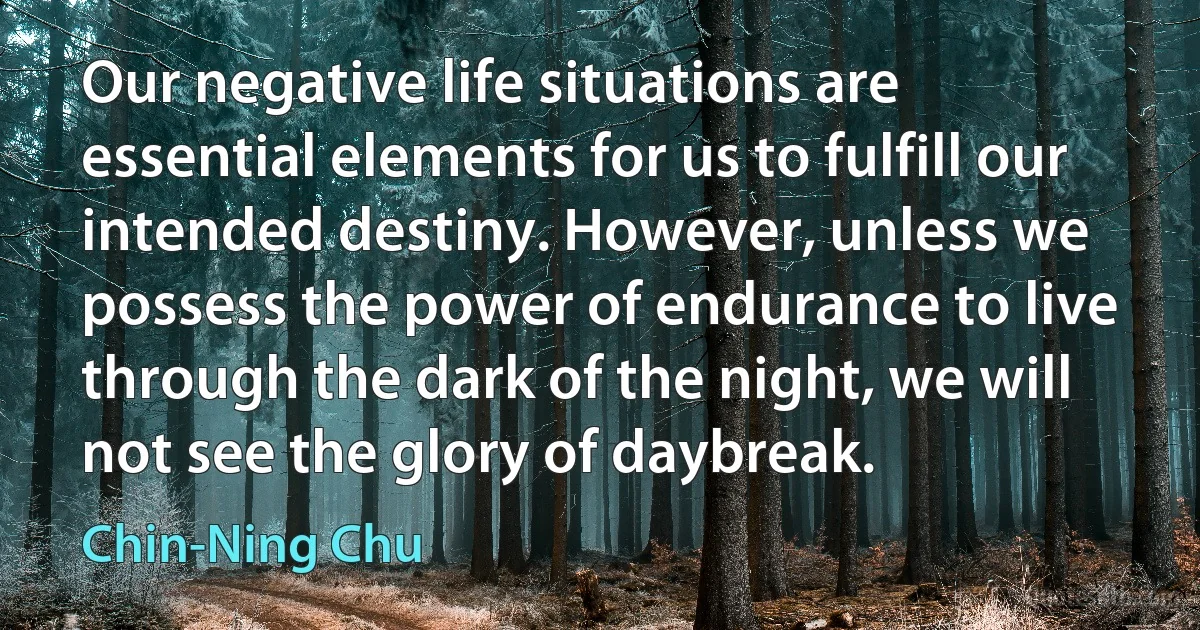 Our negative life situations are essential elements for us to fulfill our intended destiny. However, unless we possess the power of endurance to live through the dark of the night, we will not see the glory of daybreak. (Chin-Ning Chu)