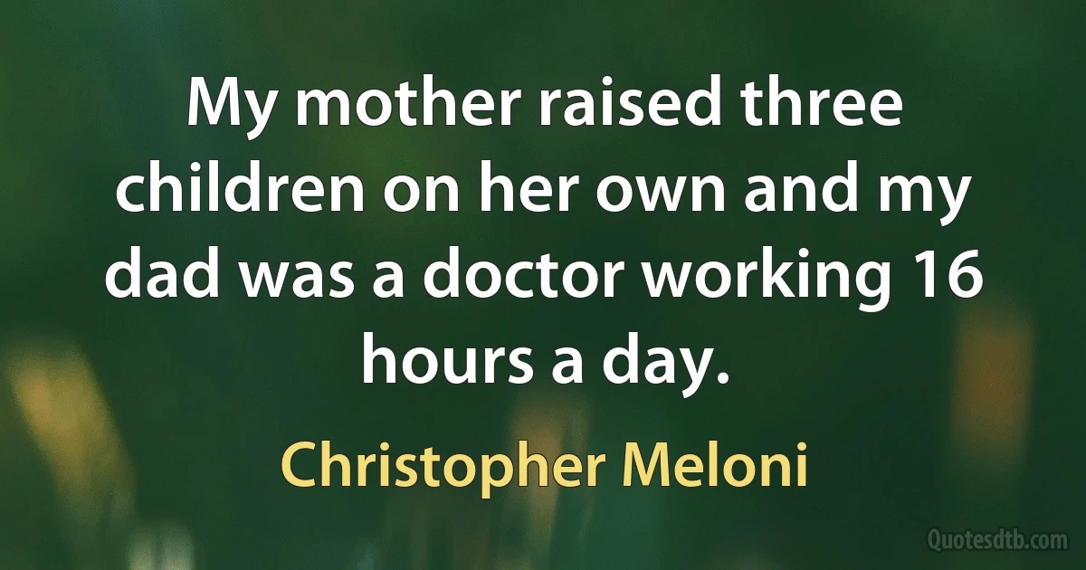 My mother raised three children on her own and my dad was a doctor working 16 hours a day. (Christopher Meloni)