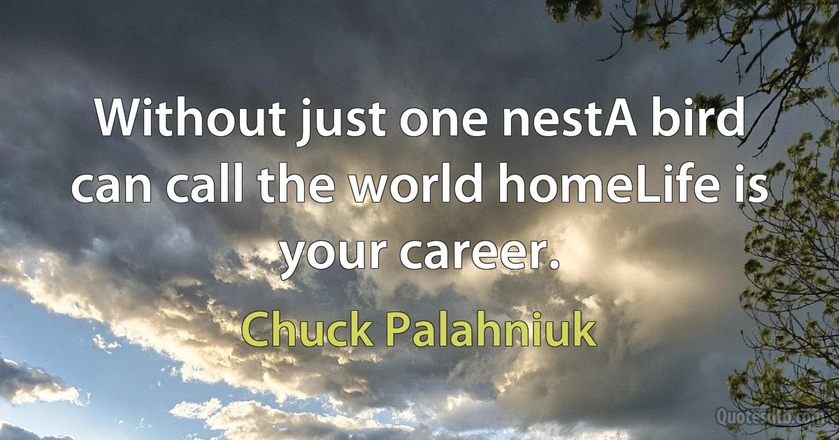 Without just one nestA bird can call the world homeLife is your career. (Chuck Palahniuk)