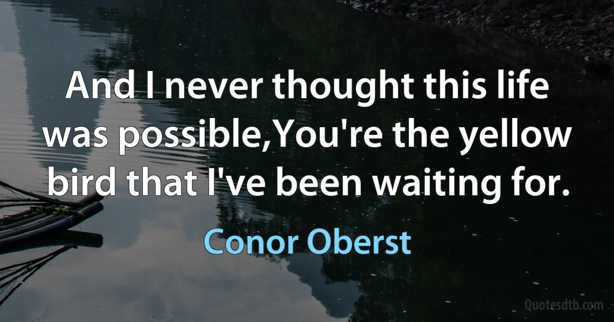 And I never thought this life was possible,You're the yellow bird that I've been waiting for. (Conor Oberst)