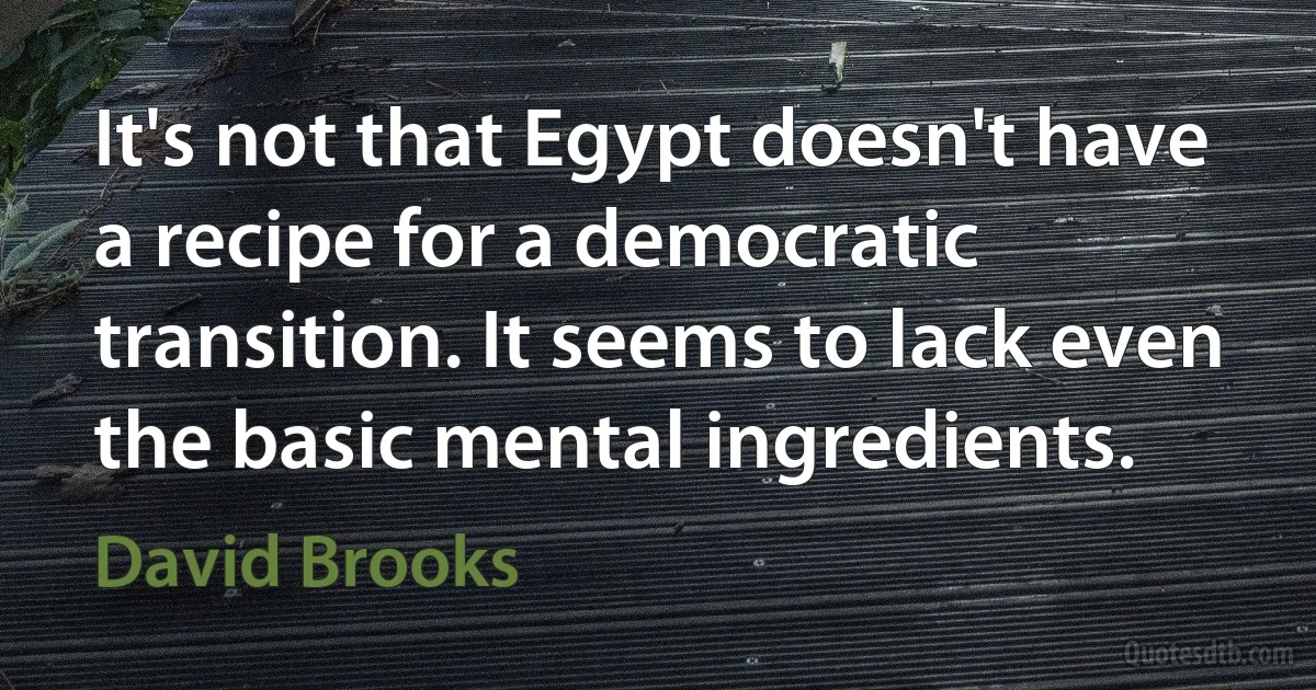 It's not that Egypt doesn't have a recipe for a democratic transition. It seems to lack even the basic mental ingredients. (David Brooks)