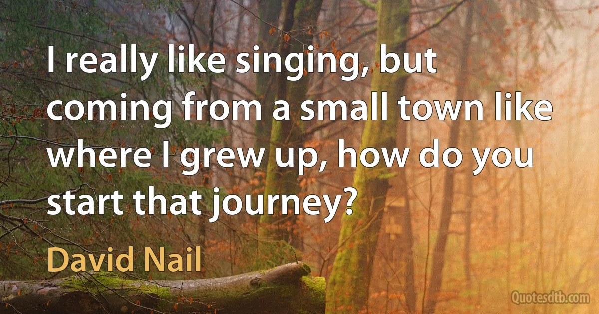 I really like singing, but coming from a small town like where I grew up, how do you start that journey? (David Nail)