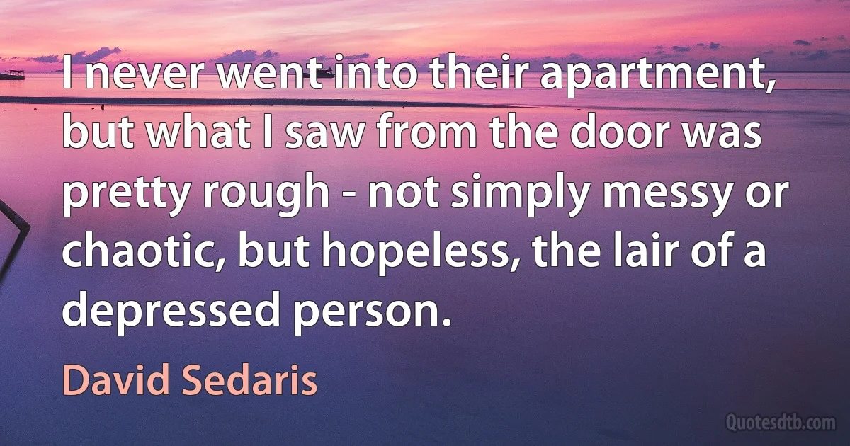 I never went into their apartment, but what I saw from the door was pretty rough - not simply messy or chaotic, but hopeless, the lair of a depressed person. (David Sedaris)