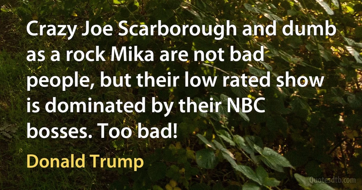 Crazy Joe Scarborough and dumb as a rock Mika are not bad people, but their low rated show is dominated by their NBC bosses. Too bad! (Donald Trump)