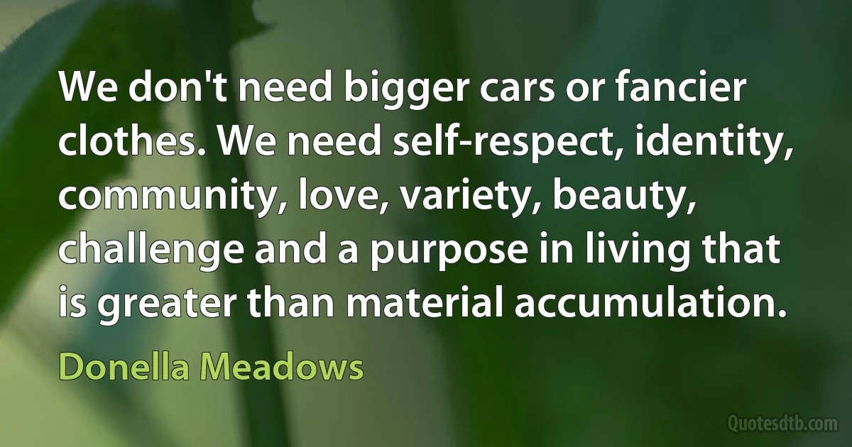 We don't need bigger cars or fancier clothes. We need self-respect, identity, community, love, variety, beauty, challenge and a purpose in living that is greater than material accumulation. (Donella Meadows)