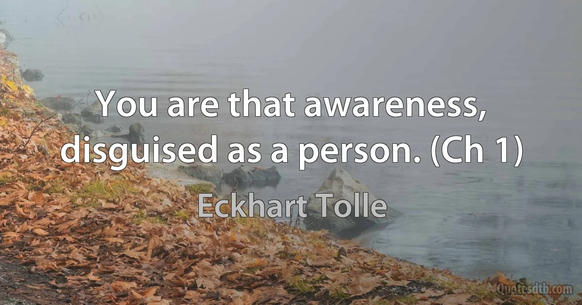 You are that awareness, disguised as a person. (Ch 1) (Eckhart Tolle)