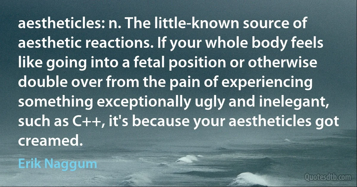 aestheticles: n. The little-known source of aesthetic reactions. If your whole body feels like going into a fetal position or otherwise double over from the pain of experiencing something exceptionally ugly and inelegant, such as C++, it's because your aestheticles got creamed. (Erik Naggum)