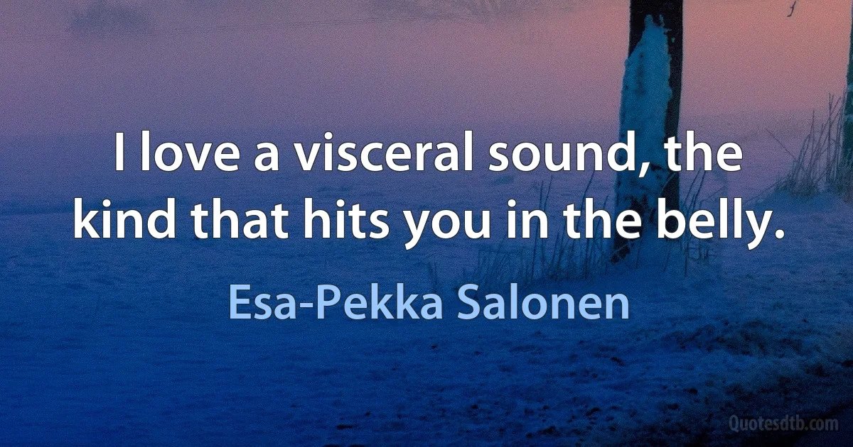 I love a visceral sound, the kind that hits you in the belly. (Esa-Pekka Salonen)