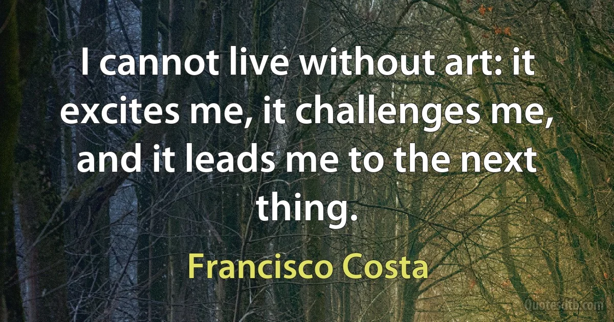 I cannot live without art: it excites me, it challenges me, and it leads me to the next thing. (Francisco Costa)