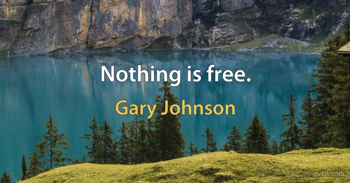 Nothing is free. (Gary Johnson)