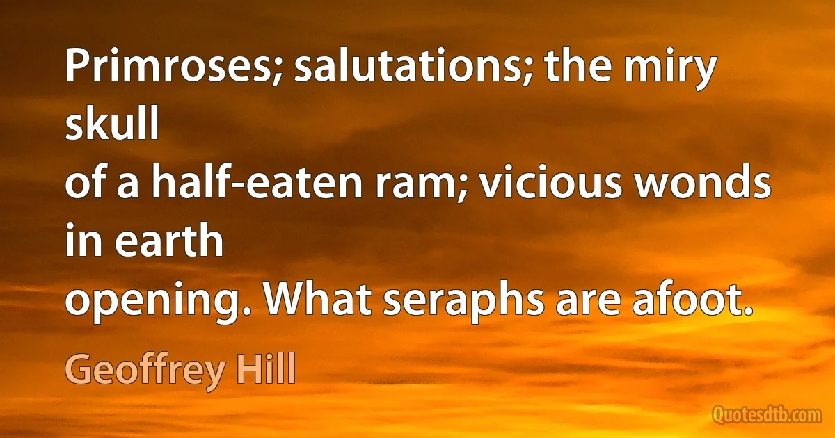 Primroses; salutations; the miry skull
of a half-eaten ram; vicious wonds in earth
opening. What seraphs are afoot. (Geoffrey Hill)
