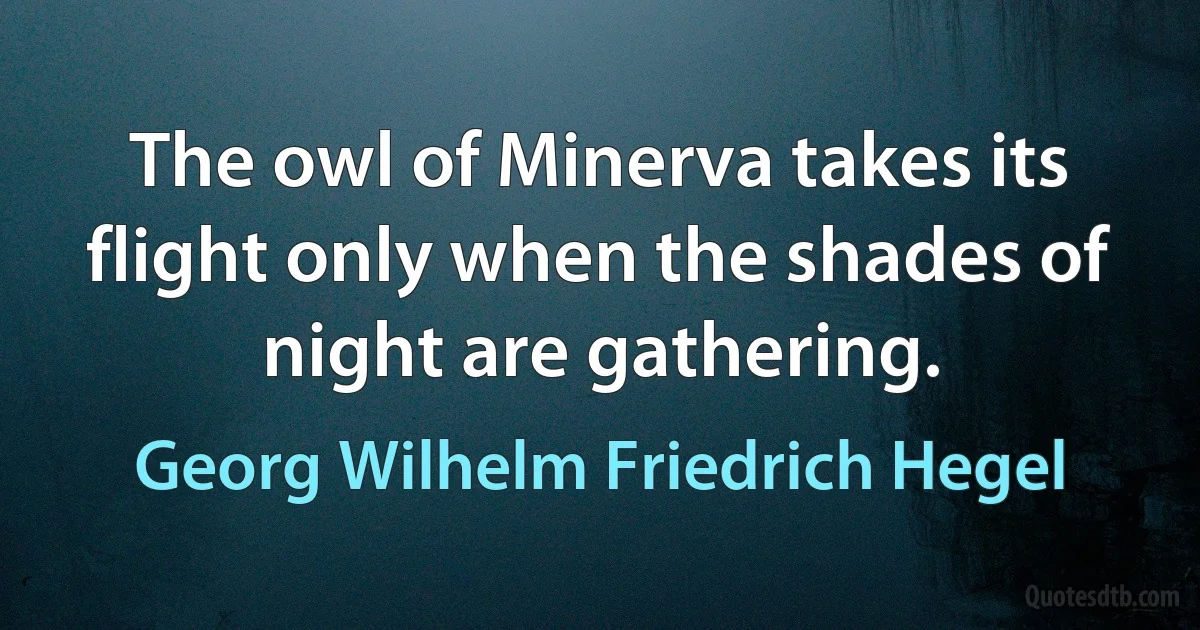 The owl of Minerva takes its flight only when the shades of night are gathering. (Georg Wilhelm Friedrich Hegel)