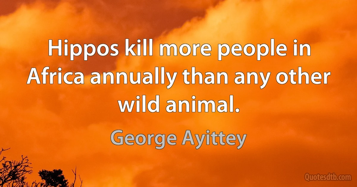 Hippos kill more people in Africa annually than any other wild animal. (George Ayittey)