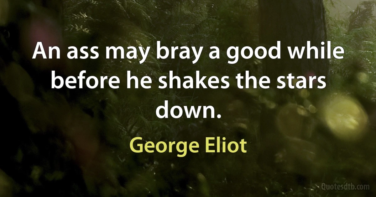 An ass may bray a good while before he shakes the stars down. (George Eliot)