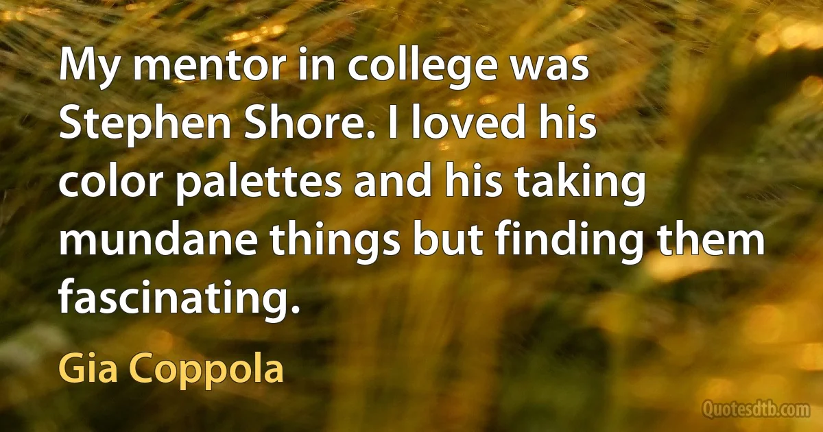 My mentor in college was Stephen Shore. I loved his color palettes and his taking mundane things but finding them fascinating. (Gia Coppola)