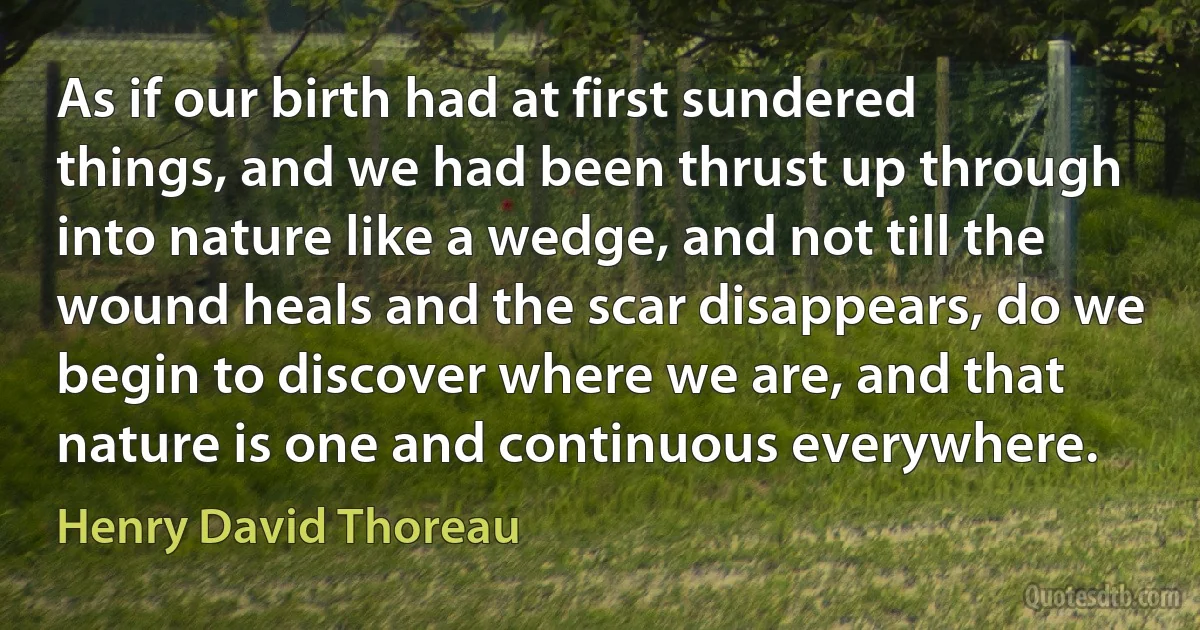 As if our birth had at first sundered things, and we had been thrust up through into nature like a wedge, and not till the wound heals and the scar disappears, do we begin to discover where we are, and that nature is one and continuous everywhere. (Henry David Thoreau)