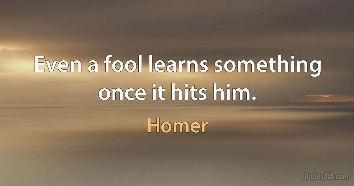 Even a fool learns something once it hits him. (Homer)