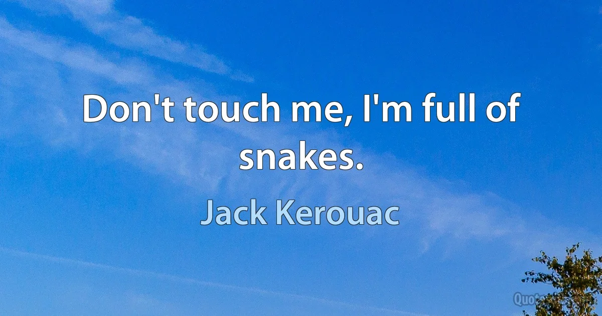 Don't touch me, I'm full of snakes. (Jack Kerouac)