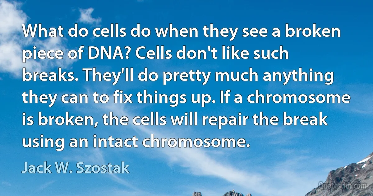 What do cells do when they see a broken piece of DNA? Cells don't like such breaks. They'll do pretty much anything they can to fix things up. If a chromosome is broken, the cells will repair the break using an intact chromosome. (Jack W. Szostak)