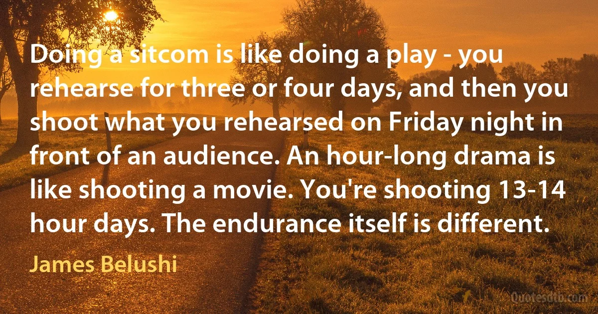 Doing a sitcom is like doing a play - you rehearse for three or four days, and then you shoot what you rehearsed on Friday night in front of an audience. An hour-long drama is like shooting a movie. You're shooting 13-14 hour days. The endurance itself is different. (James Belushi)