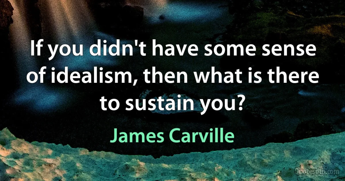 If you didn't have some sense of idealism, then what is there to sustain you? (James Carville)